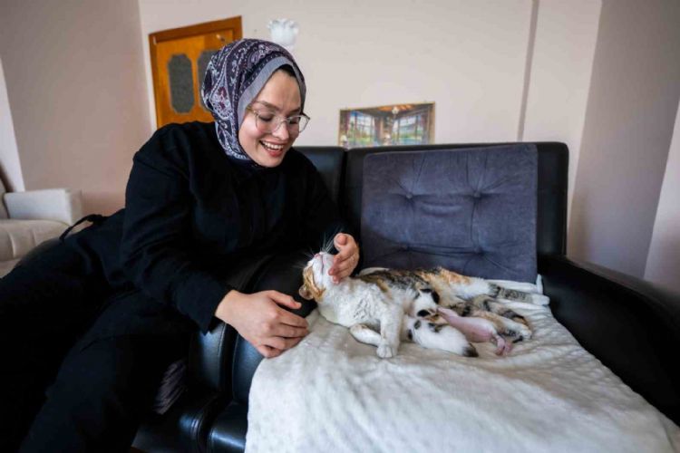 Camiye sığınan kedi ve yavruları yeni yuvasına kavuştu