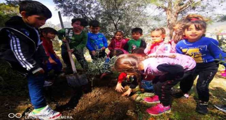 Mersin'in tüm okullarında ‘Yarın Sen de Bir Fidan Dik’ etkinliği