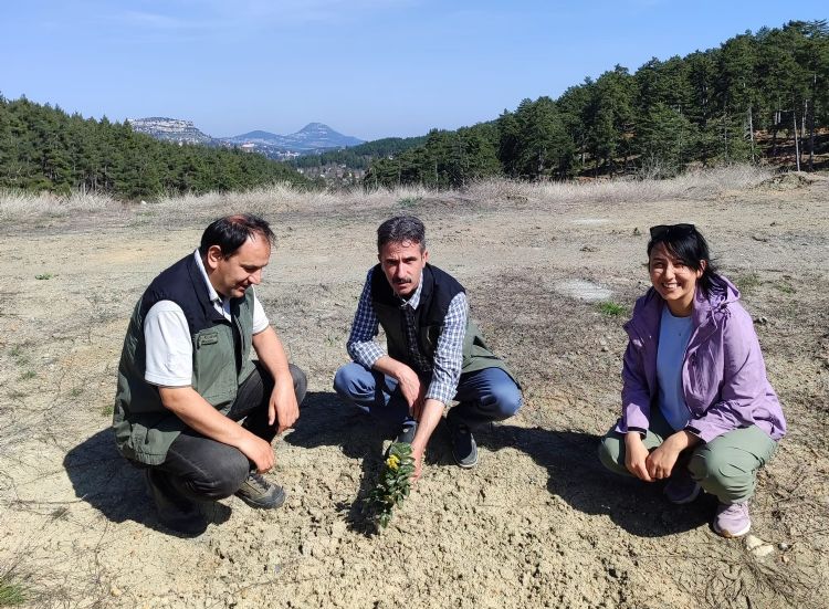 Kömür Ocağı Bal Ormanı, ‘örnek bal ormanı’ haline geldi