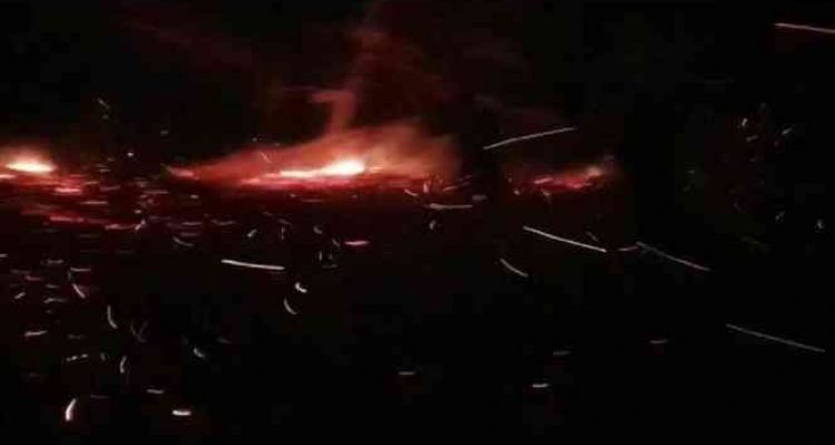 Mersin'de orman yangını