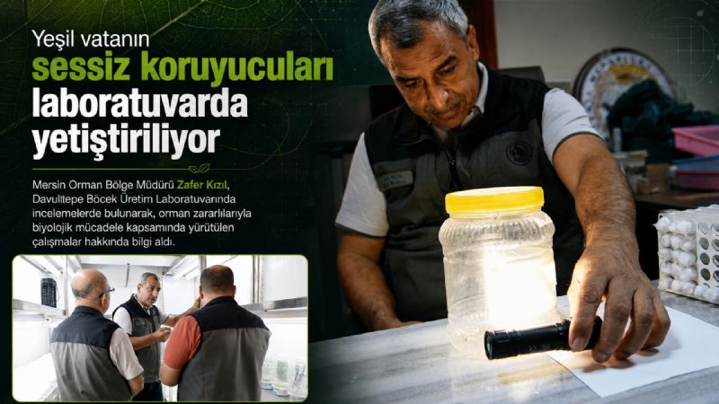 Yeşil vatanın sessiz koruyucuları laboratuvarda yetiştiriliyor