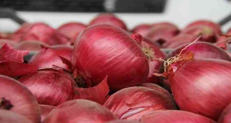 Mersin ve Adana'nın enflasyonu Türkiye enflasyonunu geçti: Yüzde 72,36