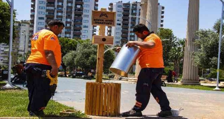 Mersin'de köpek atık istasyonu sayısı 2 kat artırıldı