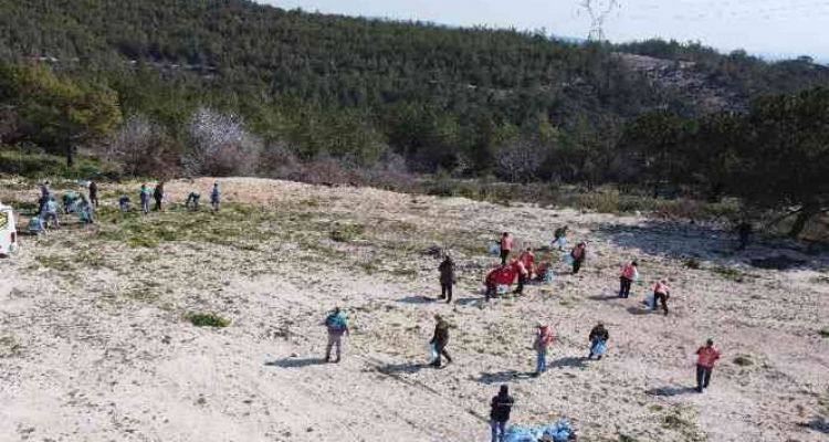 Mersin'de bal ormanı çevresi çöplerden temizlendi