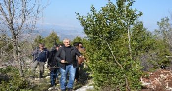 ORMAN KÖYLÜSÜ, ODUN DIŞI ÜRÜNLERDEN 6 MİLYON LİRA GELİR ELDE ETTİ