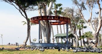 Mersin’de sahil bandına doğadaki kuşlar için kuş evi yerleştirildi
