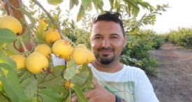 KANSERE KARŞI KORUYUCU OLAN ’GUAVA’NIN HASADINA BAŞLANDI