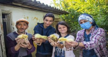 Mersin’de üretici kadınlara kaz desteği