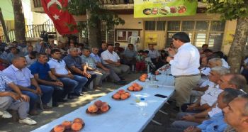 Akdeniz Meyve Sineği ile mücadelede tuzak dönemi başlıyor