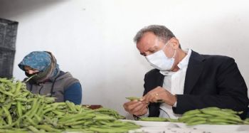 Başkan Seçer, Silifke’de incelemelerde bulundu, esnafla buluştu