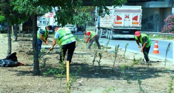 Park ve bahçelerdeki çalışmalar hızlandı