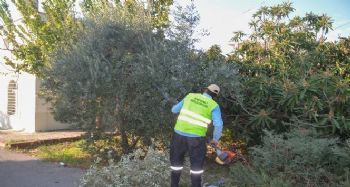 Erdemli'de yeşil alanlarda bakım çalışması sürüyor