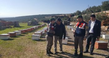ÇALINAN ARI KOVANLARI ARAZİDE BULUNDU