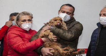 Kuyuya düşen köpek kurtarıldı