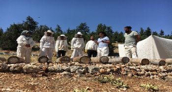 Toroslar'da Yörüklerin göç yolunda ürettiği asırlık bal yeniden üretilecek