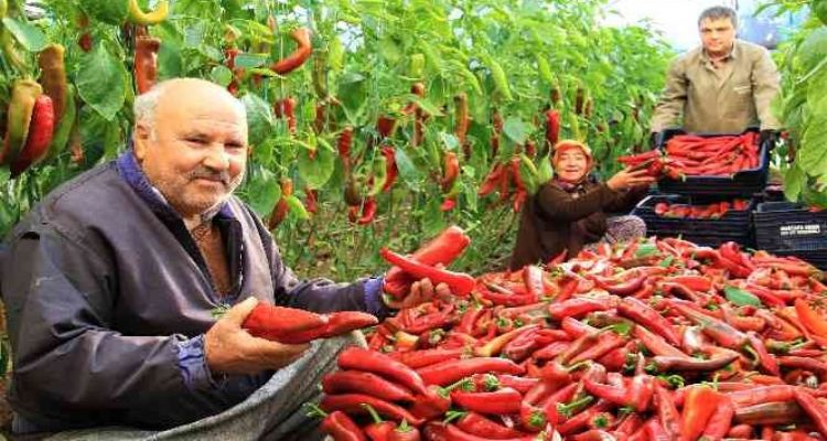 ÇAMSARI, AKADEMİK VE İDARİ PERSONELLE BİR ARAYA GELDİ