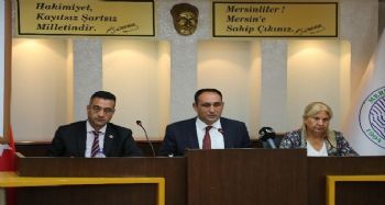 Başkan Yılmaz, Kadın Erkek Eşitliği Şartı'nı imzalamak için meclisten yetki aldı