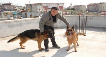 ‘Hera’ ve ‘Clan’ şampiyonluğa hazırlanıyor