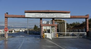 Mersin Büyükşehir Belediyesi’nden veteriner hekim kontrolünde kurban kesimi