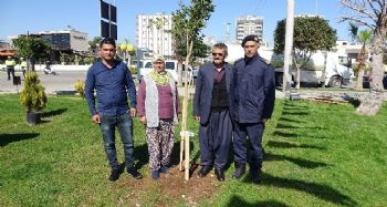 Şehit annesi Gülten Tüzel: "Türkiye'miz cennet vatan, hiç kimse bölemez"