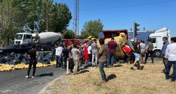 Mersin'de iki kamyon çarpıştı: 2 yaralı
