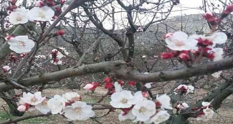 ÖZYİĞİT: NİTELİKLİ ÖĞRETMENLER, NİTELİKLİ EĞİTİMİN VAZGEÇİLMEZİDİR