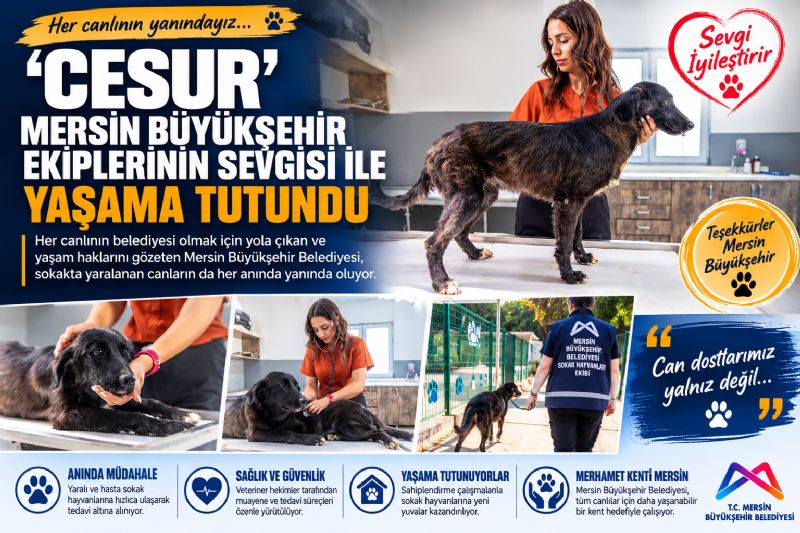 ‘Cesur’ Mersin Büyükşehir Ekiplerinin Sevgisi İle Yaşama Tutundu