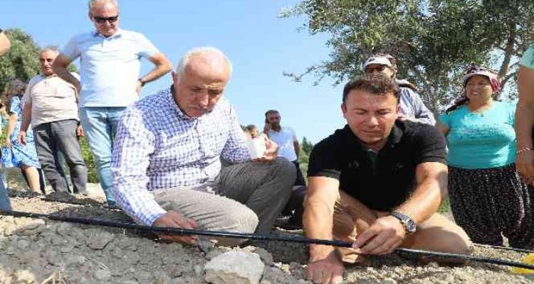 Şifalı bitki olarak bilinen ‘şevketi bostan’ tohumları Akdeniz'de toprakla buluştu