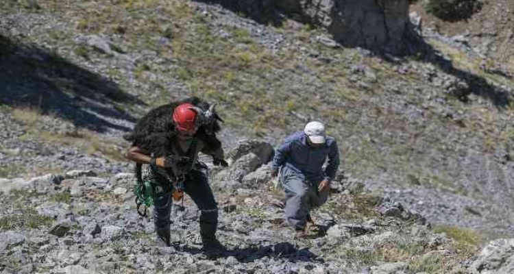 3 gün yamaçta mahsur kalan keçiyi itfaiye ekipleri kurtardı