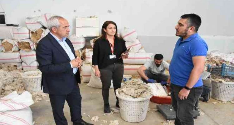 Mantar Yetiştirme Kursu, Tarsuslulara yeni iş kapısı oldu