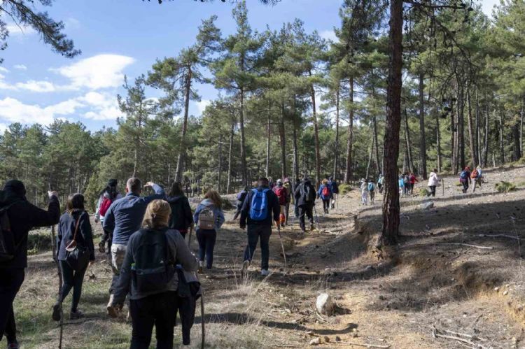 ‘Tarihi Kilikya Yolu Yürüyüşü’ne yoğun ilgi sürüyor