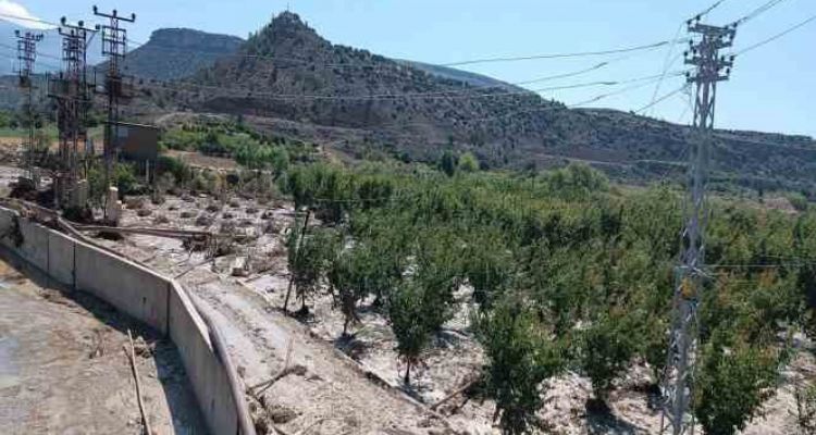 Mut'ta yağışlardan etkilenen alanlarda hasar tespiti