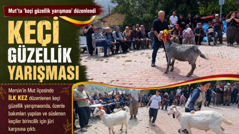 Mut’ta ’keçi güzellik yarışması’ düzenlendi