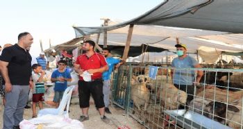 Toroslar'da kurban satış yerleri ilaçlandı