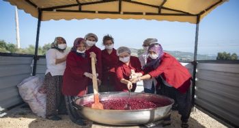 Mersin'in çileği ve vişnesi, kadınların elinde ekonomiye dönüşüyor