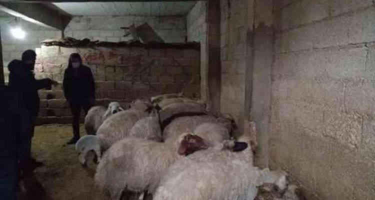 GÜLNAR BELEDİYESİ İLE ÇEVDOSAN ARASINDA GERİ DÖNÜŞÜM PROTOKOLÜ İMZALANDI