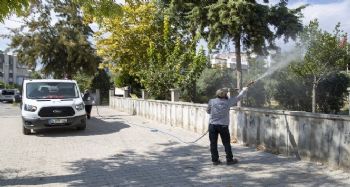 Mersin'de beyaz sinekle mücadele sürüyor