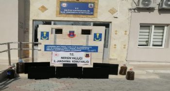 Hırsızlık zanlıları 82 saatlik görüntü kaydı izlenerek yakalandı
