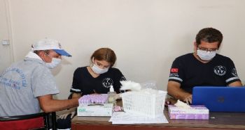 Toroslar Belediyesi çalışanları sağlık taramasından geçti