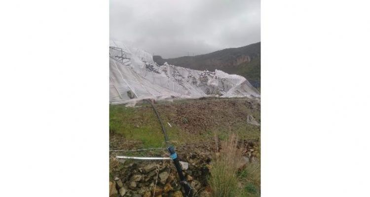 Şiddetli rüzgar seralara zarar verdi