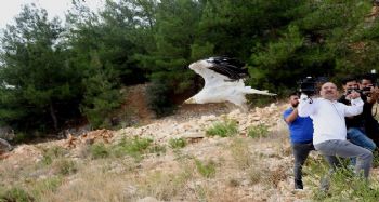 Tedavi edilen kanatlı hayvanlar doğaya salındı
