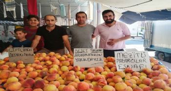 MEZİTLİ’DE ŞEFTALİ SEFERBERLİĞİ BAŞLADI