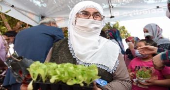 Tarsus'ta ücretsiz fide dağıtımı