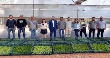Öğretmen okul için istedi Tarsus Belediyesi 20 bin fide gönderdi