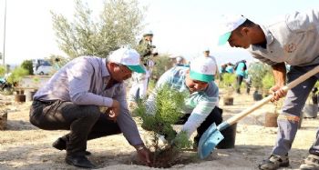 MTOSB'de 2 bin 500 fidan toprakla buluştu