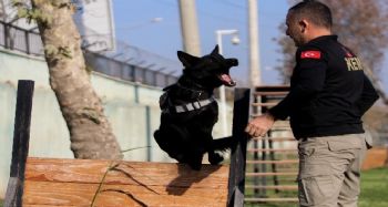 Onlar zehir tacirlerinin korkulu rüyası