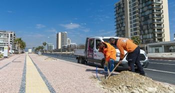 Mersin'de kaldırımları hem yeniliyor hem yeşillendiriliyor