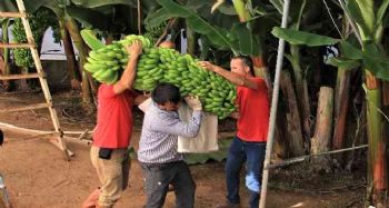 "Alata Azman" 70 kilo muz verdi