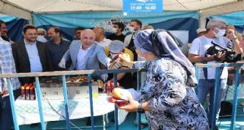 Mersin'de Karaduvar Balık Festivali coşkusu yaşandı
