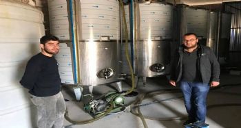 MUT'A GÜNLÜK 200 TON ZEYTİNYAĞI ÜRETİLİYOR